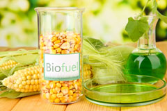 Gyffin biofuel availability