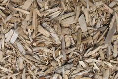 biomass boilers Gyffin