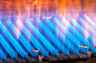 Gyffin gas fired boilers